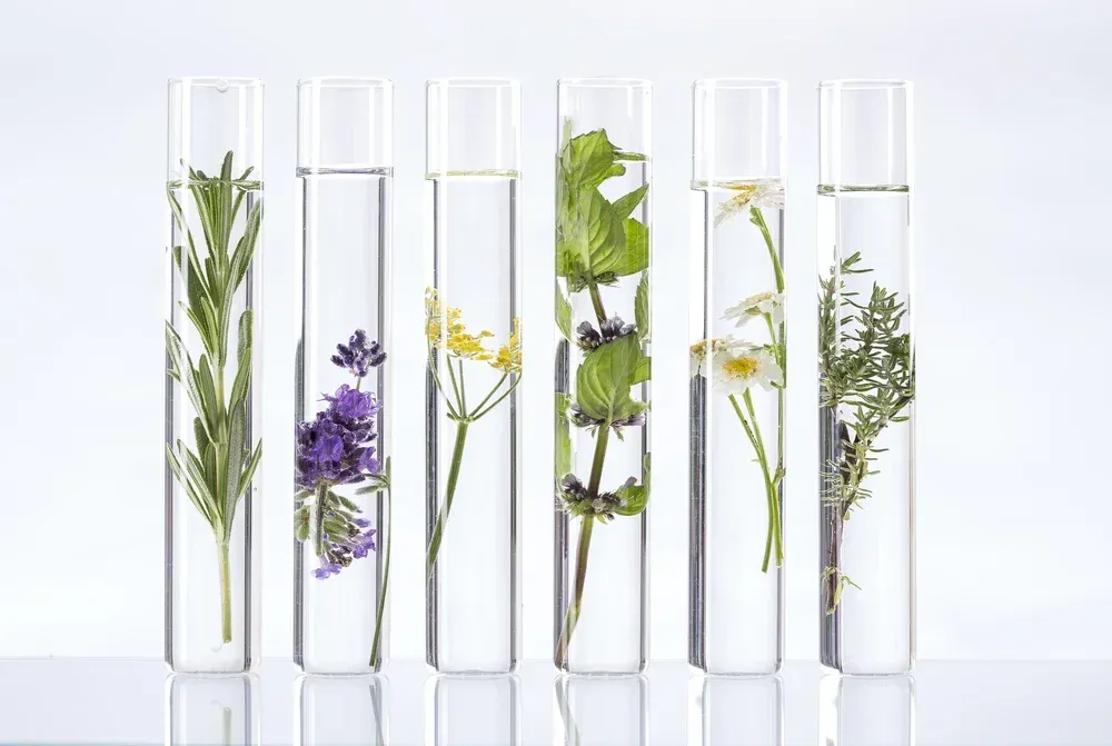Test tubes holding flowers and herbs